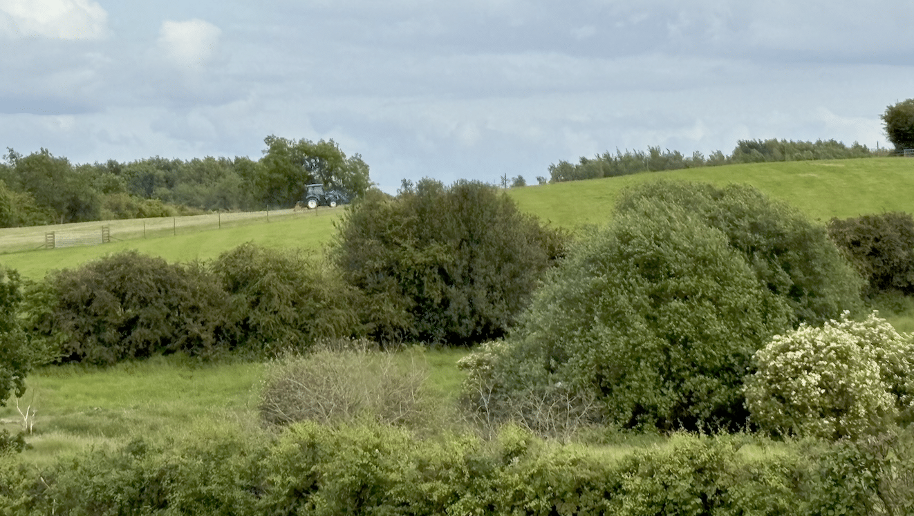 Life at Hazel Tree Lodge Holiday Home