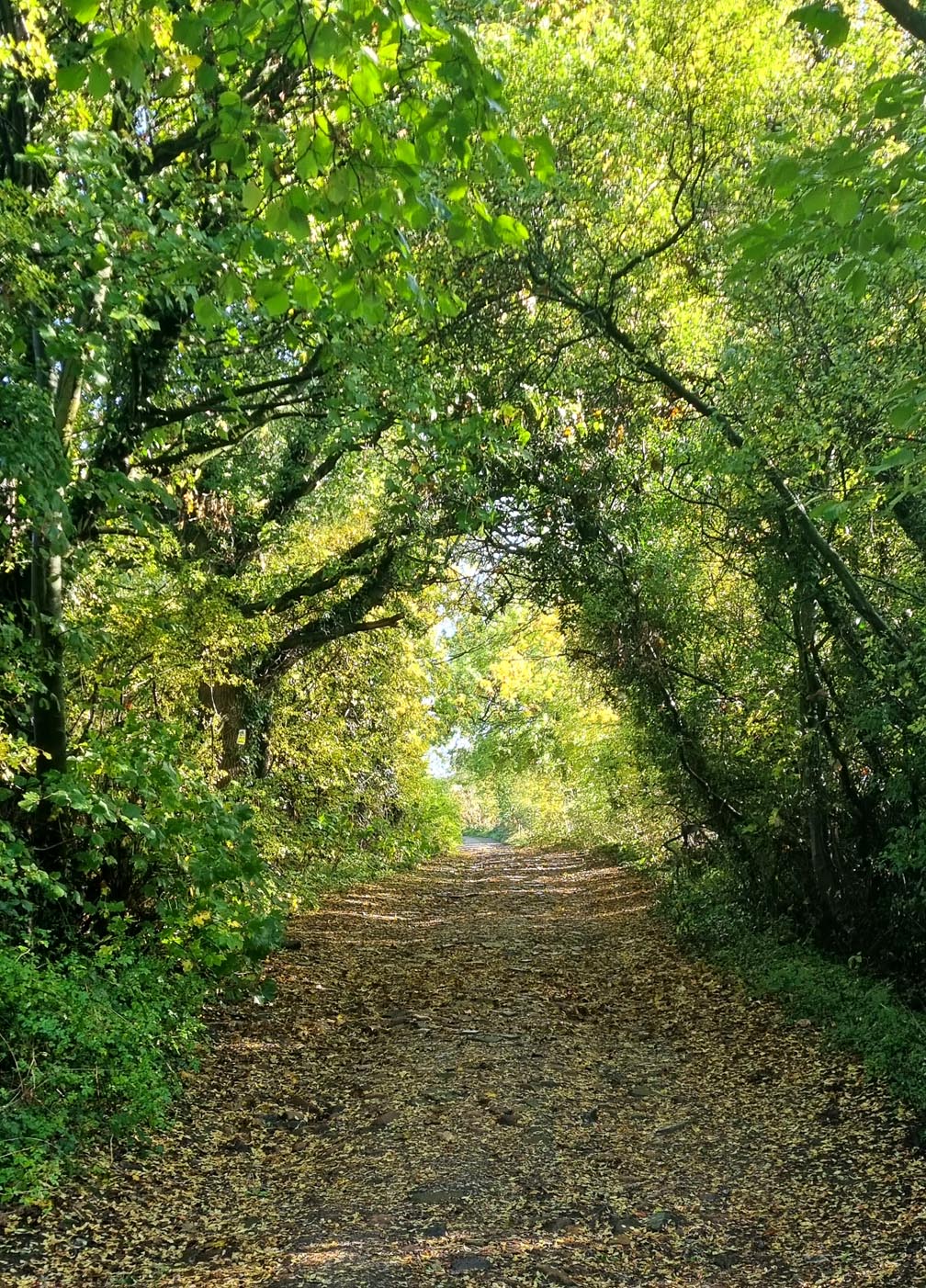 Direct Access to the Five Pits Trail in Tibshelf Derbyshire