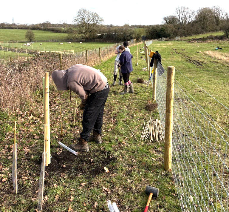 Tree Planting initiative at Hazel Tree Lodge