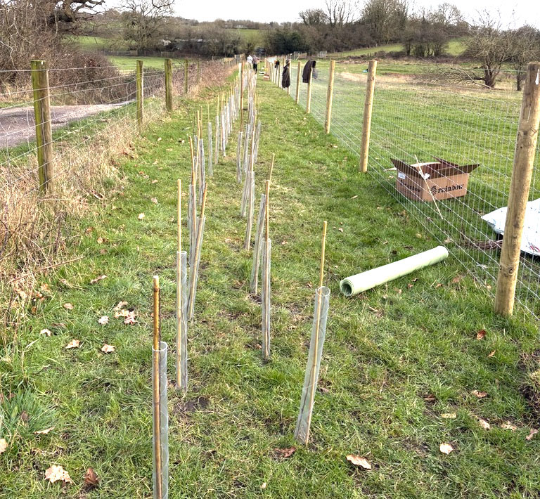 3,500 trees and hedges planted at Hazel Tree Lodge retreat