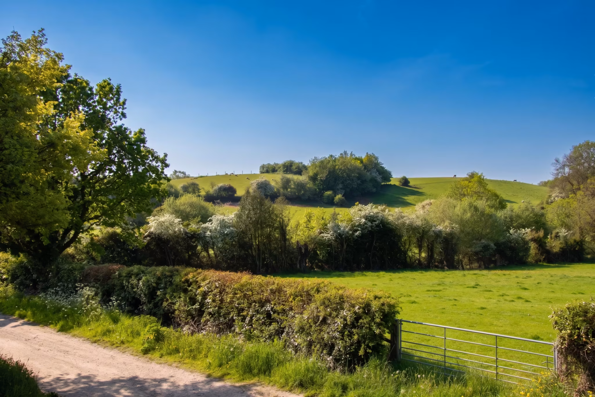 Hazel Tree Lodge View over Fields from Holiday Let