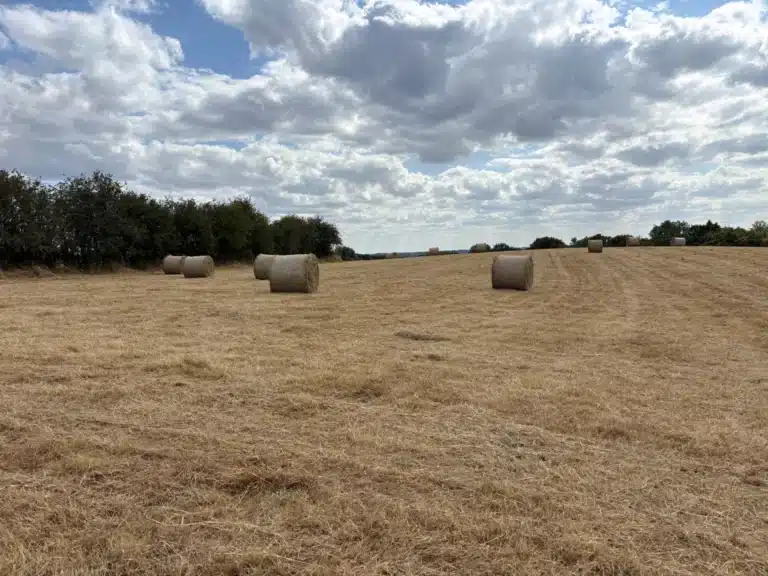 Haymaking at Hazel Tree Lodge
