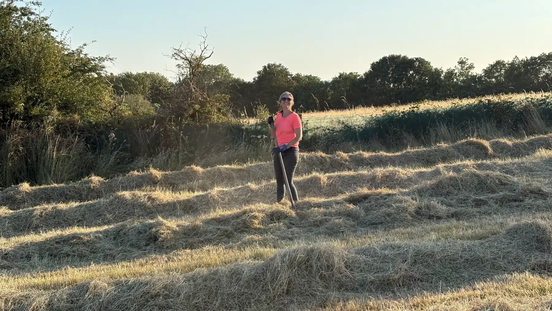 Working by hand among rows of cut hay at Hazel Tree Lodge