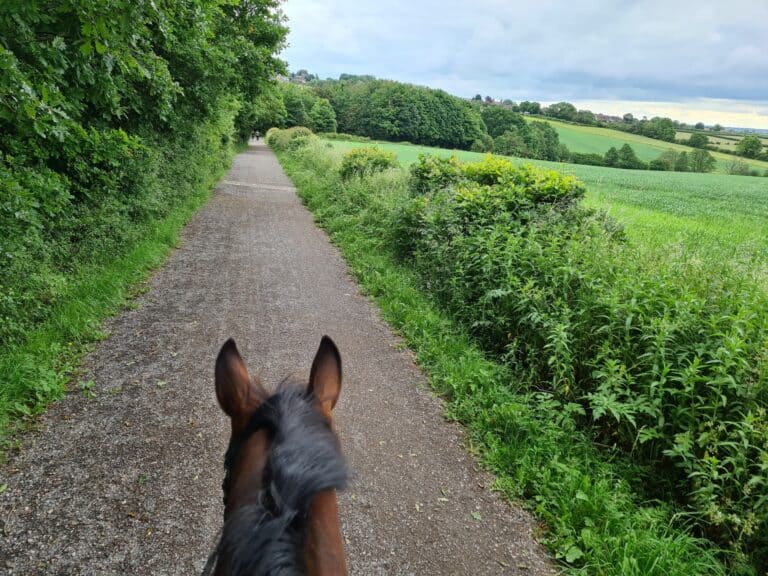 View along a countryside bridleway from horseback, with hedges and open fields